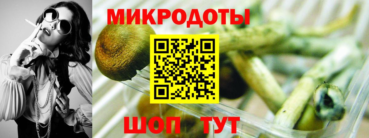 Псилоцибиновые грибы GOLDEN TEACHER  Вход с VPN  Кизилюрт 